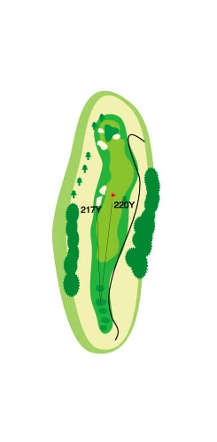 OUTコース HOLE 8 / Par 4